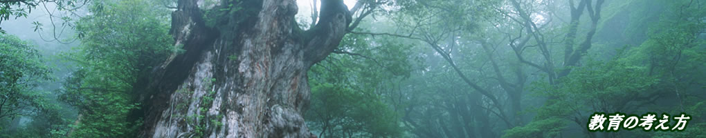 武道・空手・護身術